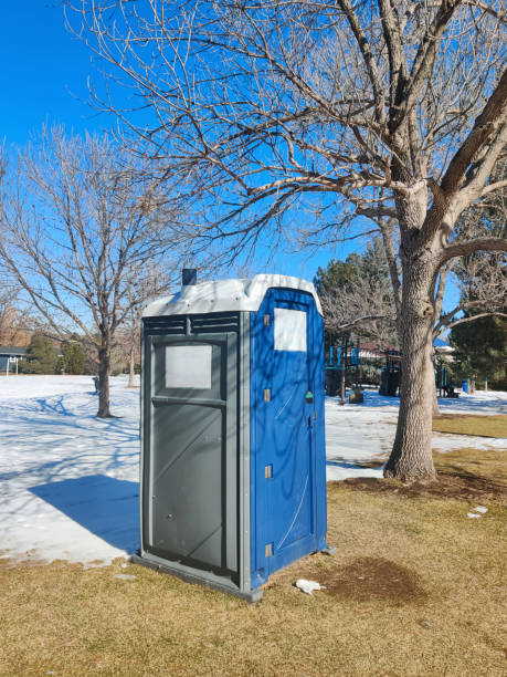 Best Eco-Friendly Portable Toilets  in Vernon, WI